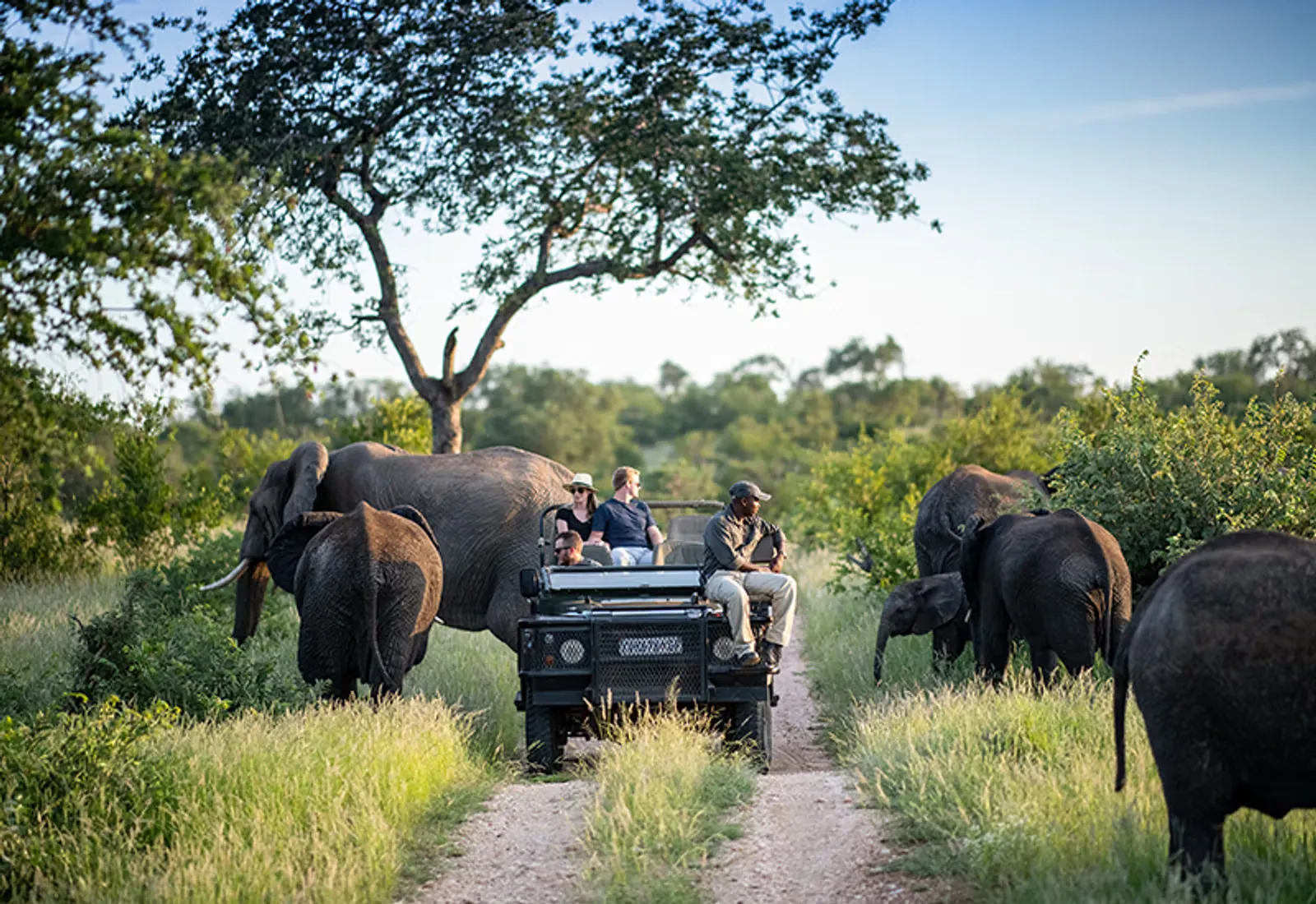 Luxury jeep safari exploring India's wildlife and natural wilderness